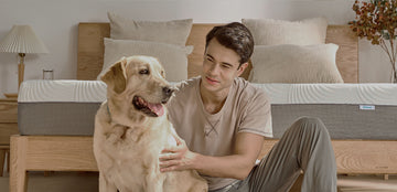 Elviros FAQ section background image of man with dog in front of Elviros mattress